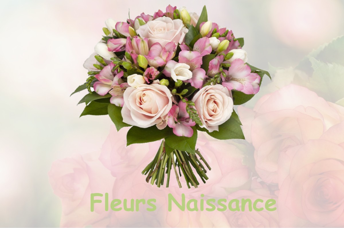 fleurs naissance LA-RUE-SAINT-PIERRE