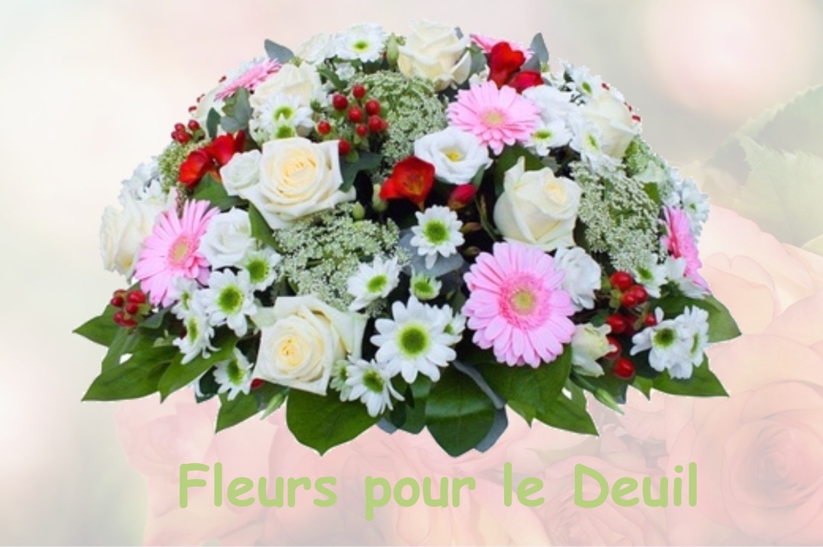 fleurs deuil LA-RUE-SAINT-PIERRE